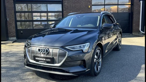 AUDI e-tron 50 50 Advanced Business Kamera/S.Seter/Krok/ACC/CarPlay+++