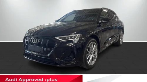 AUDI e-tron 55 55 s line sport 360Kamera/S-Line/El.luke/Krok/Soltak/++