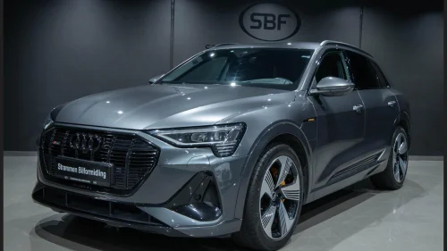 AUDI E TRON 55 55 Q 2xS-LINE MATRIX/B&O/SKINN/HEADUP/360KAM/KROK/BLACK