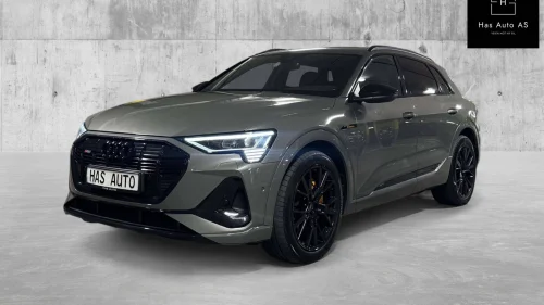 AUDI e-tron 55 E-tron 55 Black Edition Matrix Luft