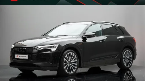 AUDI E TRON 55 55 2X LADEPORT BANG&OLUFSEN EL-SETER MATRIX KROK LUFT++