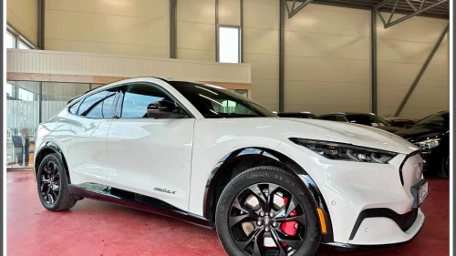 FORD Mustang Mach-E SE PRIS!!/LR 600 KM WLTP/300 HK/PREMIUM/SKINN,B&O