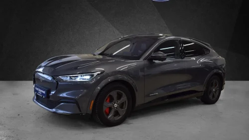 FORD Mustang Mach-E First Edition AWD 351hk ACC/19"/360/B&O/E.Luke/H.F/Pano
