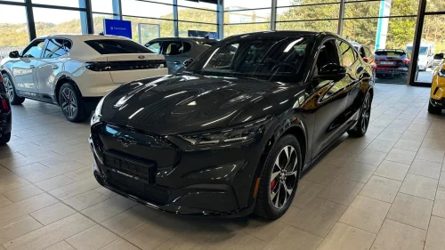 FORD Mustang Mach-E Premium LR AWD Krok, navi, panoramatak, el.seter, DAB