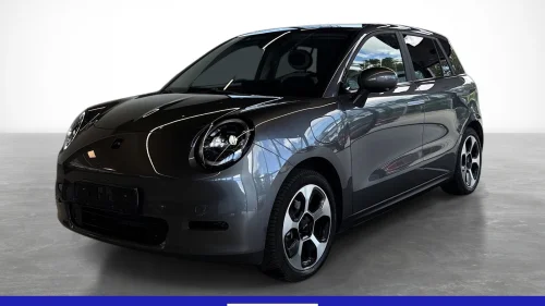 JAC E30X Short Description