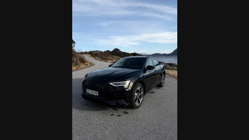 AUDI E TRON SPORTBACK 55 H.FESTE, SKINN/ALCANTARA