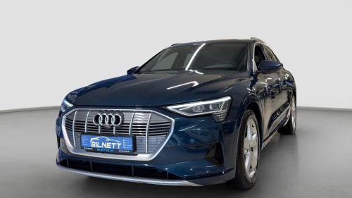 AUDI e-tron Sportback 50 50 QUATTRO Advanced/S.Seter/Bang&Olufsen/360Cam+++
