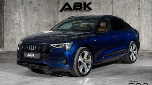 AUDI e-tron Sportback 55 55 Bang Olufsen LED Matrix-Head Up-360 Kamera-H.Feste