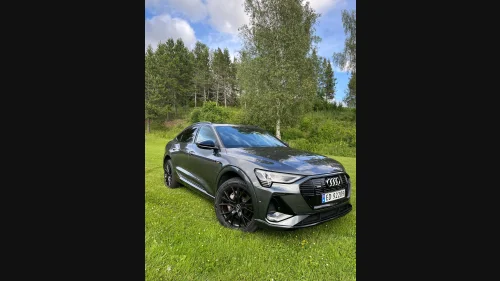 AUDI E TRON SPORTBACK 55 SPORTBACK/55/S-Line/ACC/360/H.Feste/Sommer+Vin