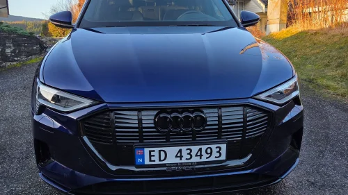 AUDI e-tron Sportback 55 55 Quattro/H-Feste/ACC/360°/LED/S&V-Hjul
