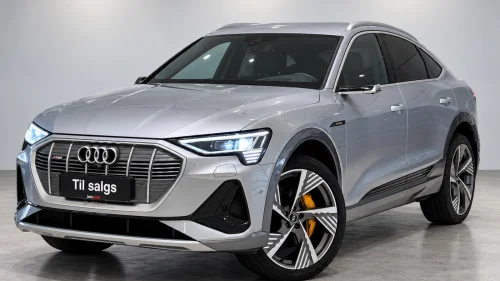 AUDI e-tron Sportback 55 2X S-Line/Navi/B&O/HUD/NightV/ACC/360/Matrix/DAB/Krok