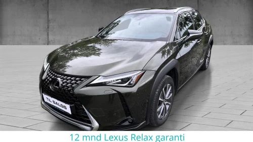 LEXUS UX300E Premium (204 hk)