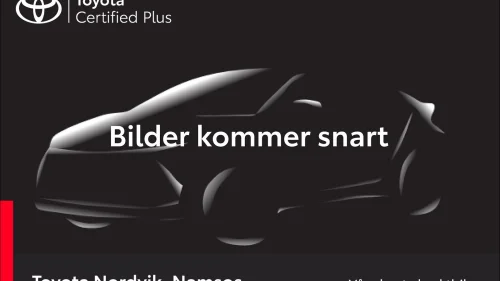 LEXUS UX300E Premium | Skinn | Lav km!