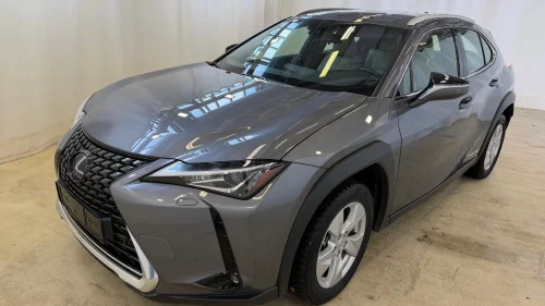 LEXUS UX300E