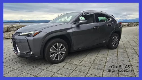 LEXUS UX300E Premium/Skinn/ADcruise++/22mndGaranti/Kamera