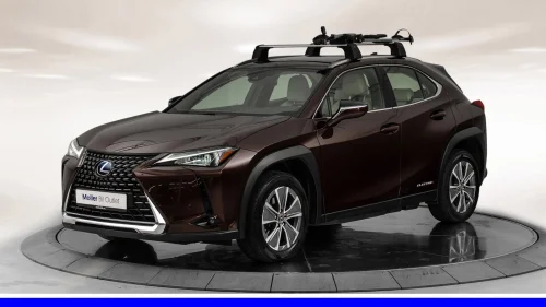 LEXUS UX300E 300e FWD - R.Kam, ACC, El.Sete