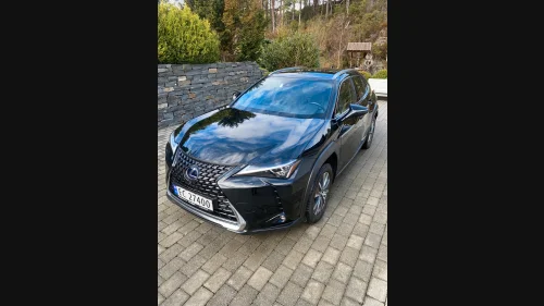 LEXUS UX300E 300E HEAD UP SKINN KAMERA LED ACC KEYLESS 24MND GARANTI