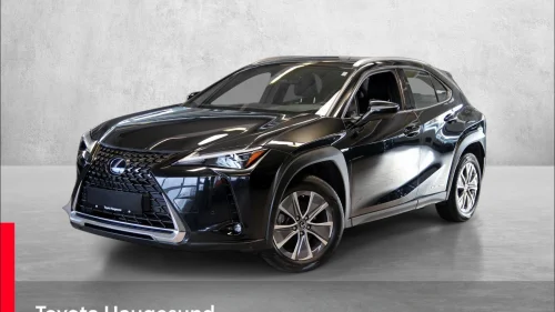 LEXUS UX300E 300e FWD Luxury