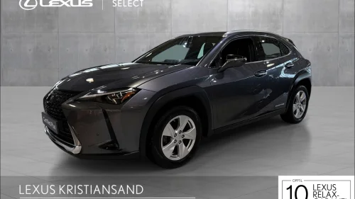 LEXUS UX300E 300e Luxury