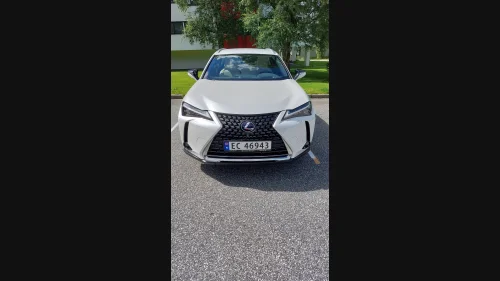 LEXUS UX300E 300e FWD Luxury