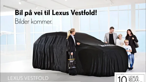 LEXUS UX300E Lexus UX 300e