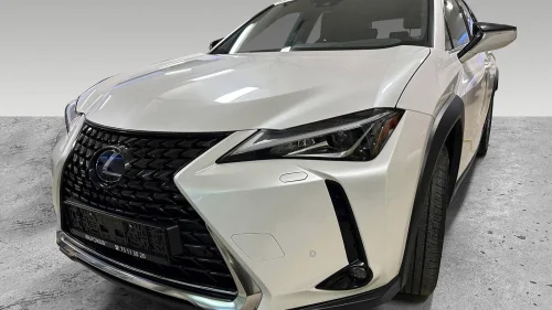 LEXUS UX300E 300E