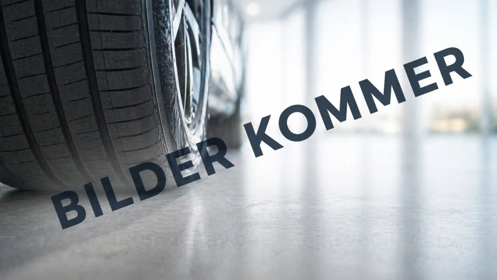 Tidligere bilde (2026-09-03)