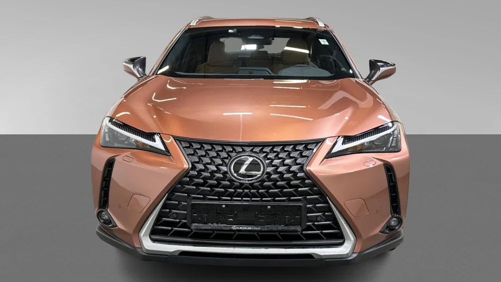 Tidligere bilde (2026-02-20)