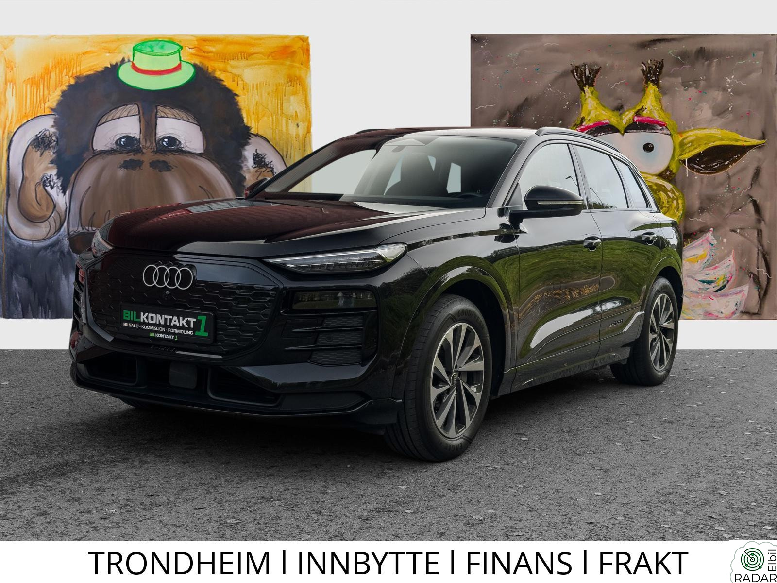 AUDI Q6 SUV e-tron quattro I Krok I Pass.display I TechPlus I 360 I Matrix I ACC