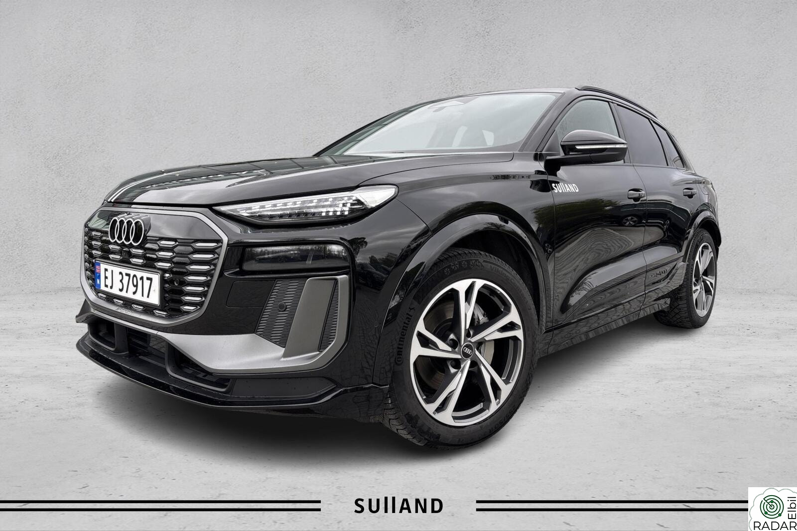 AUDI Q6 SUV e-tron quattro quattro ycc Led Matrix/S-Line/Pasasjerdisplay+++