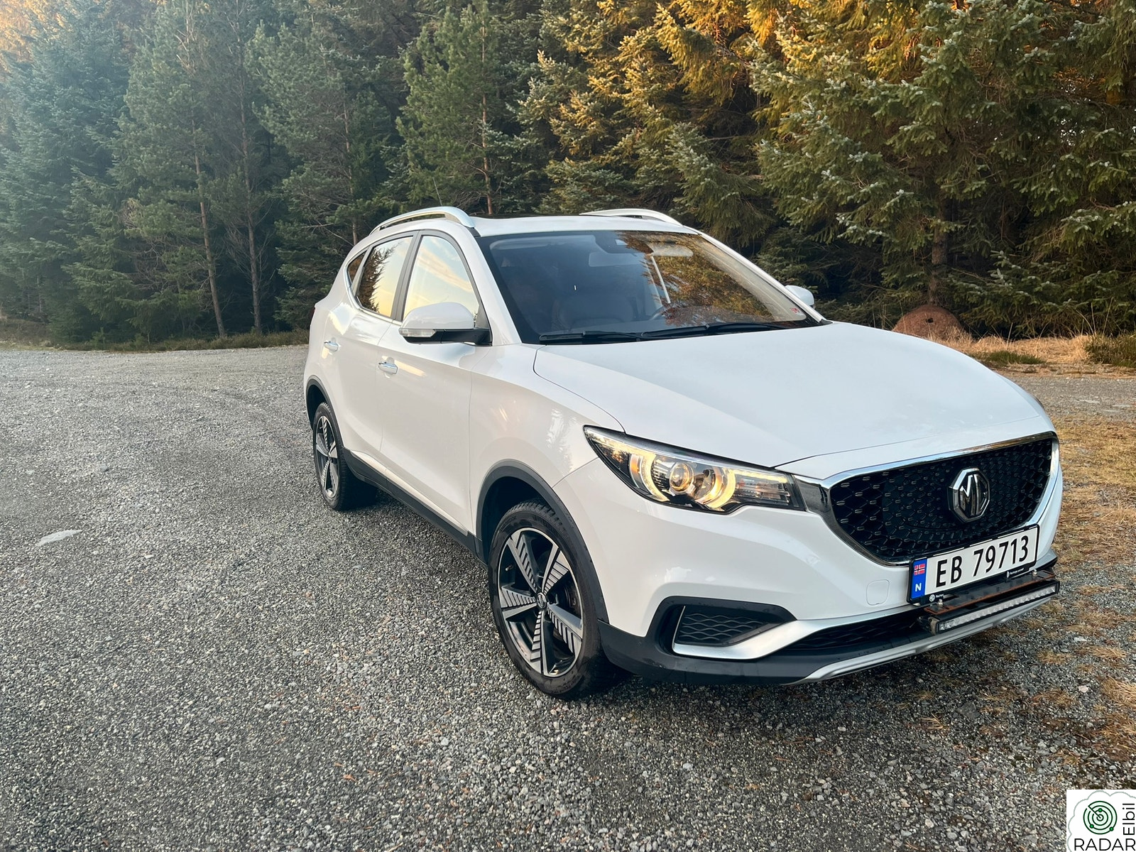 MG ZS EV Luxury Utgave - Skinn - Ledbar