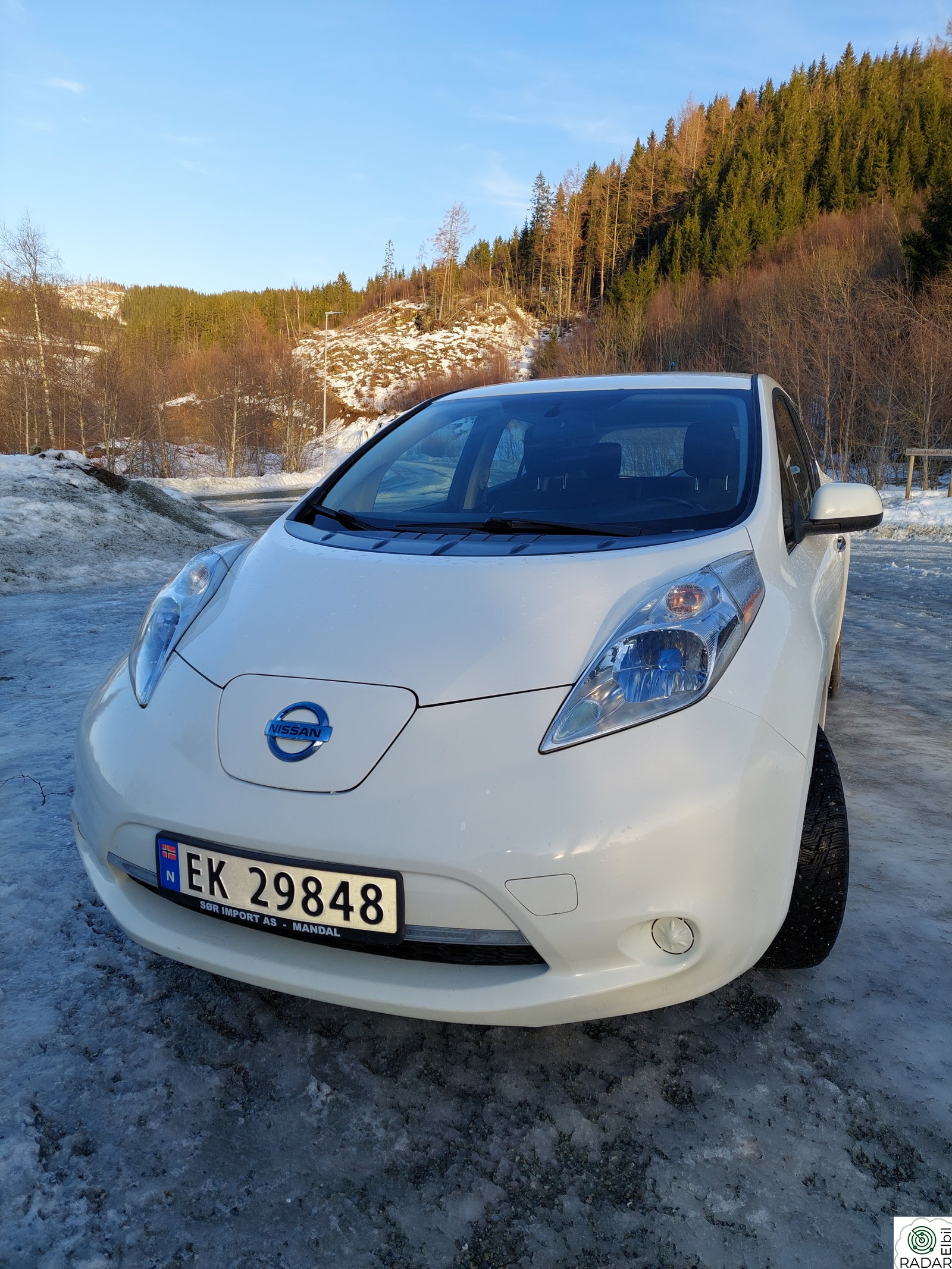 NISSAN LEAF Acenta