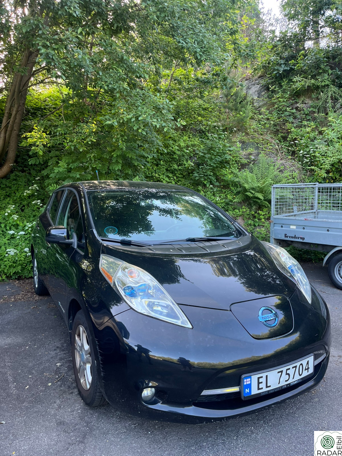 NISSAN LEAF