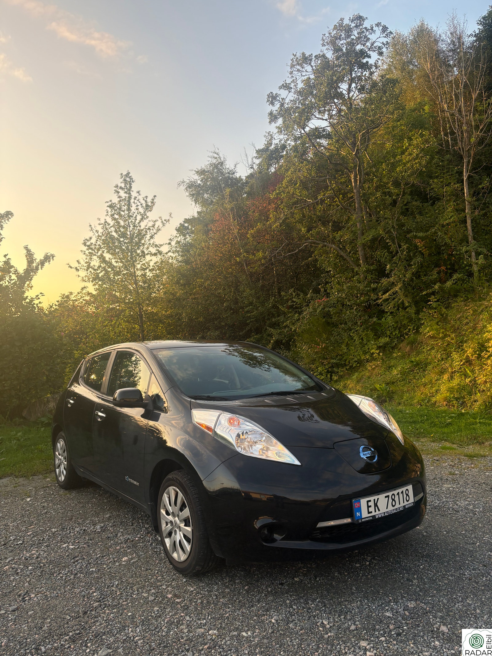 NISSAN LEAF