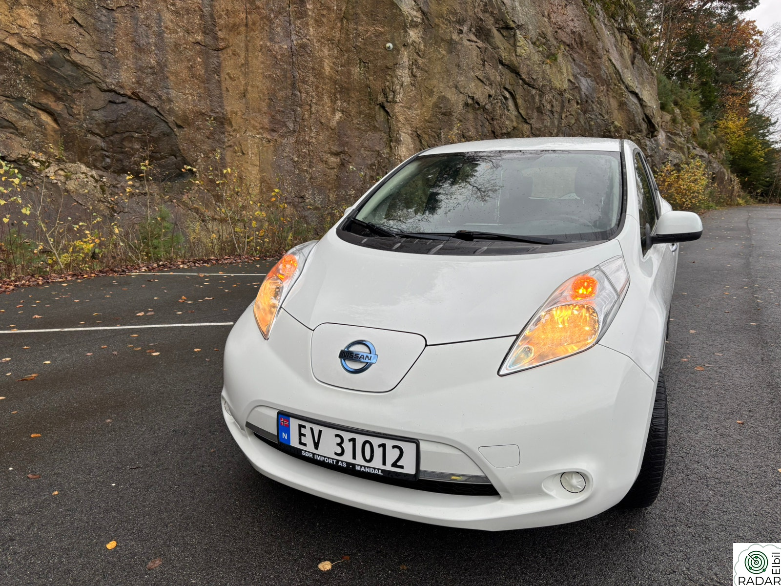 NISSAN LEAF