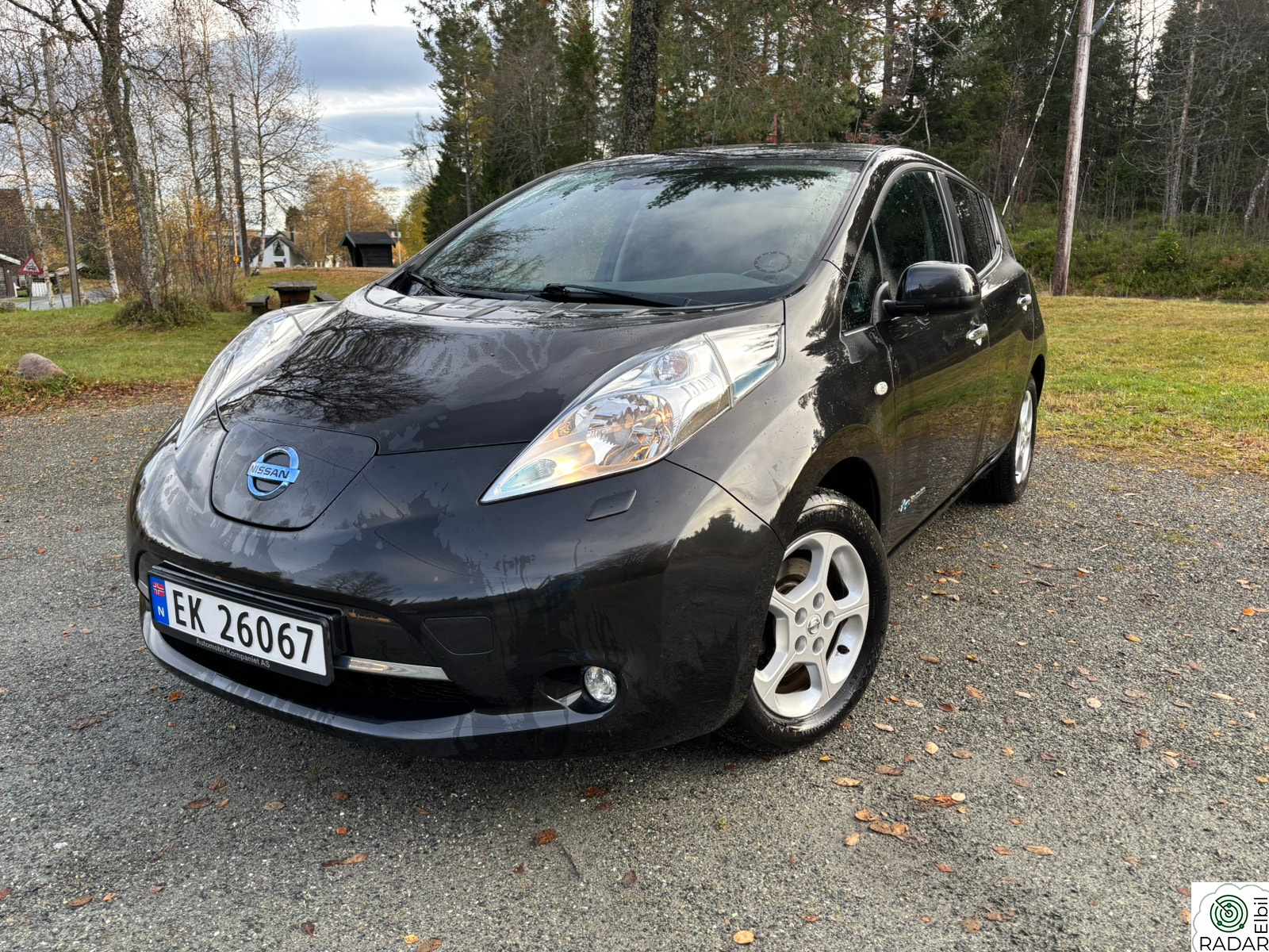 NISSAN LEAF 30kWh 30 kWh