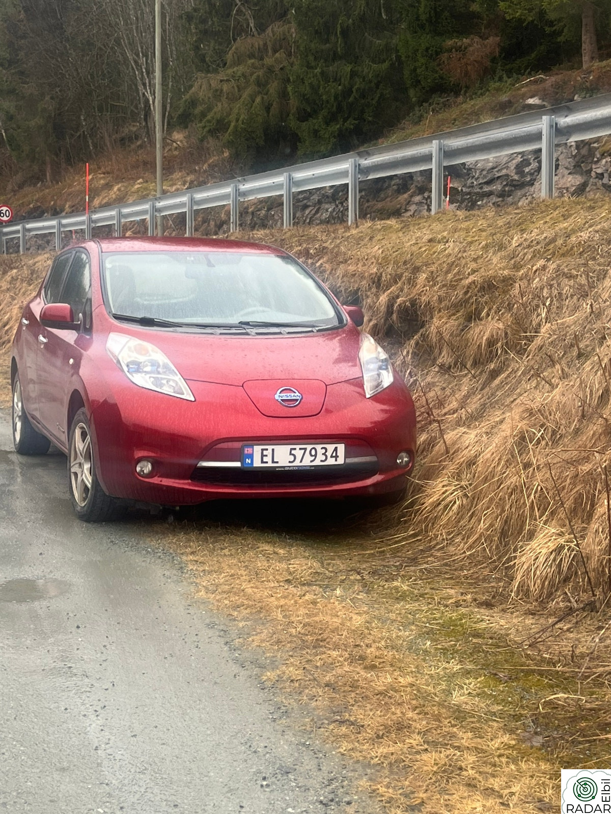 NISSAN LEAF Importert fra USA i 2014