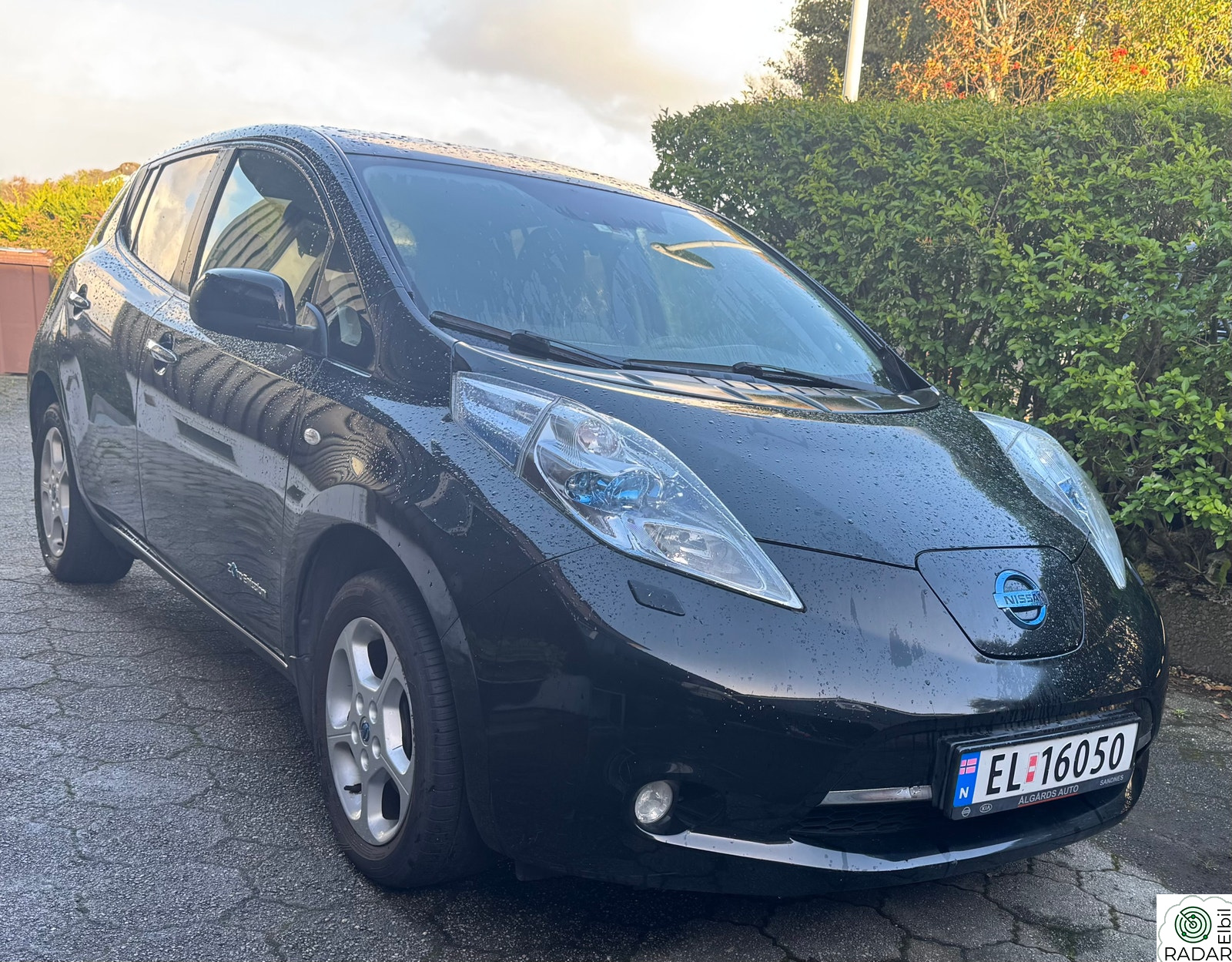 NISSAN LEAF