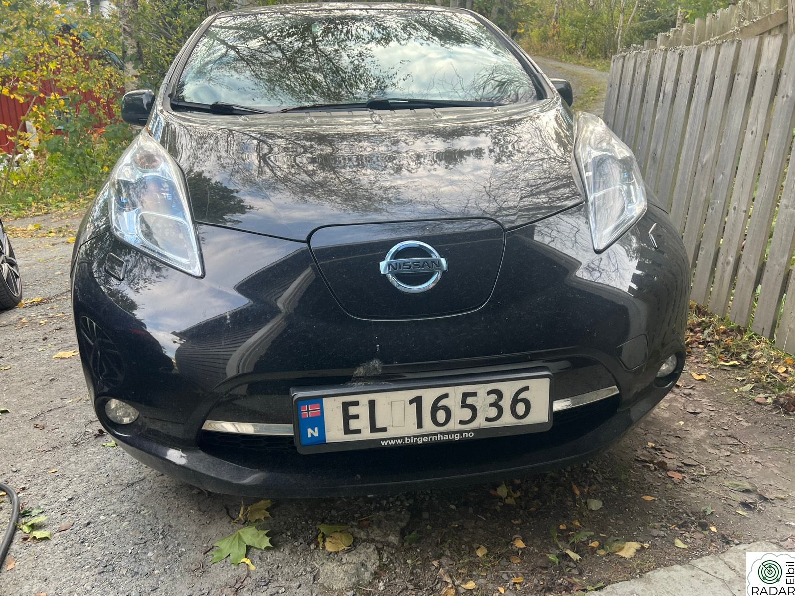 NISSAN LEAF