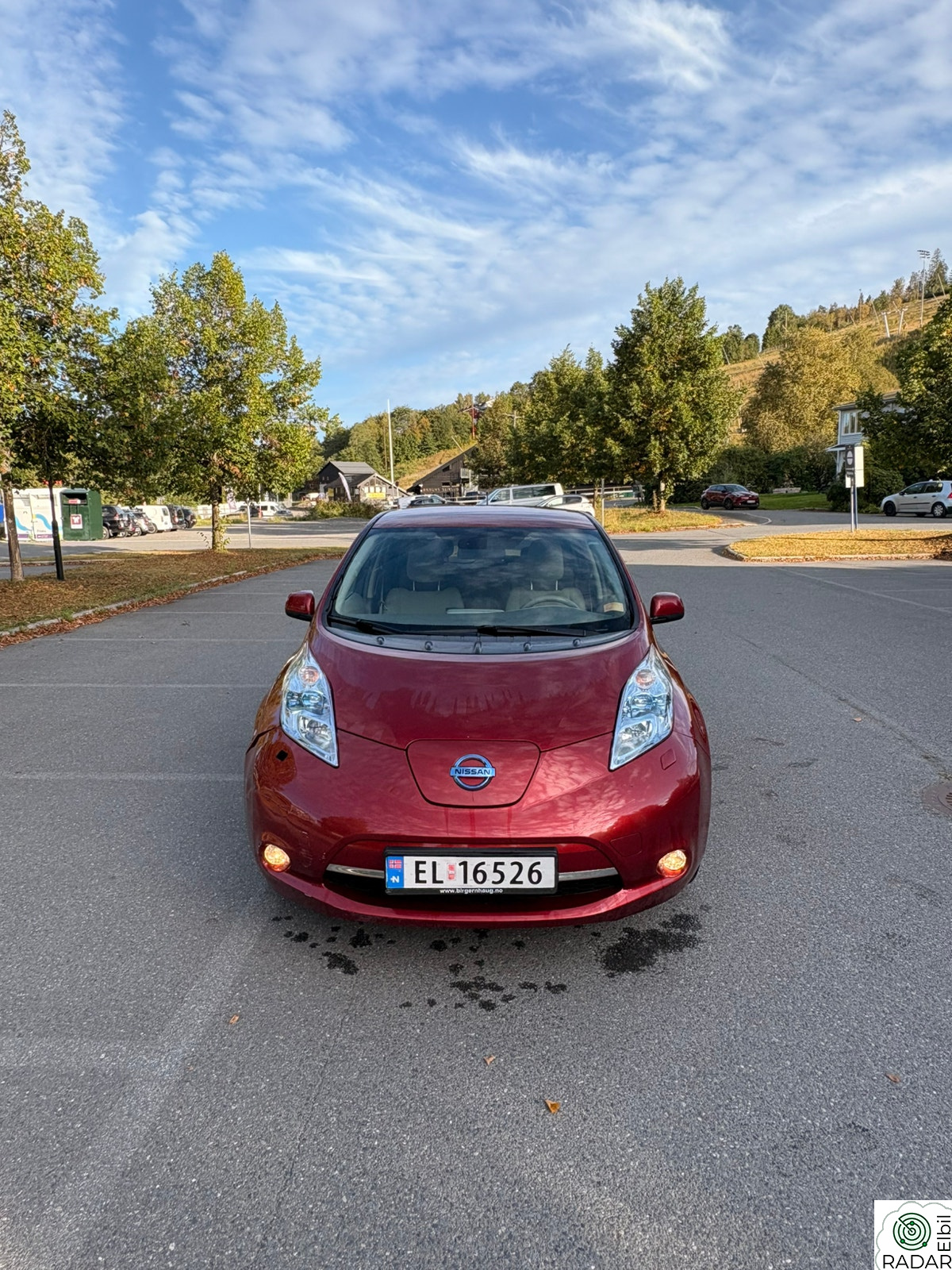 NISSAN LEAF