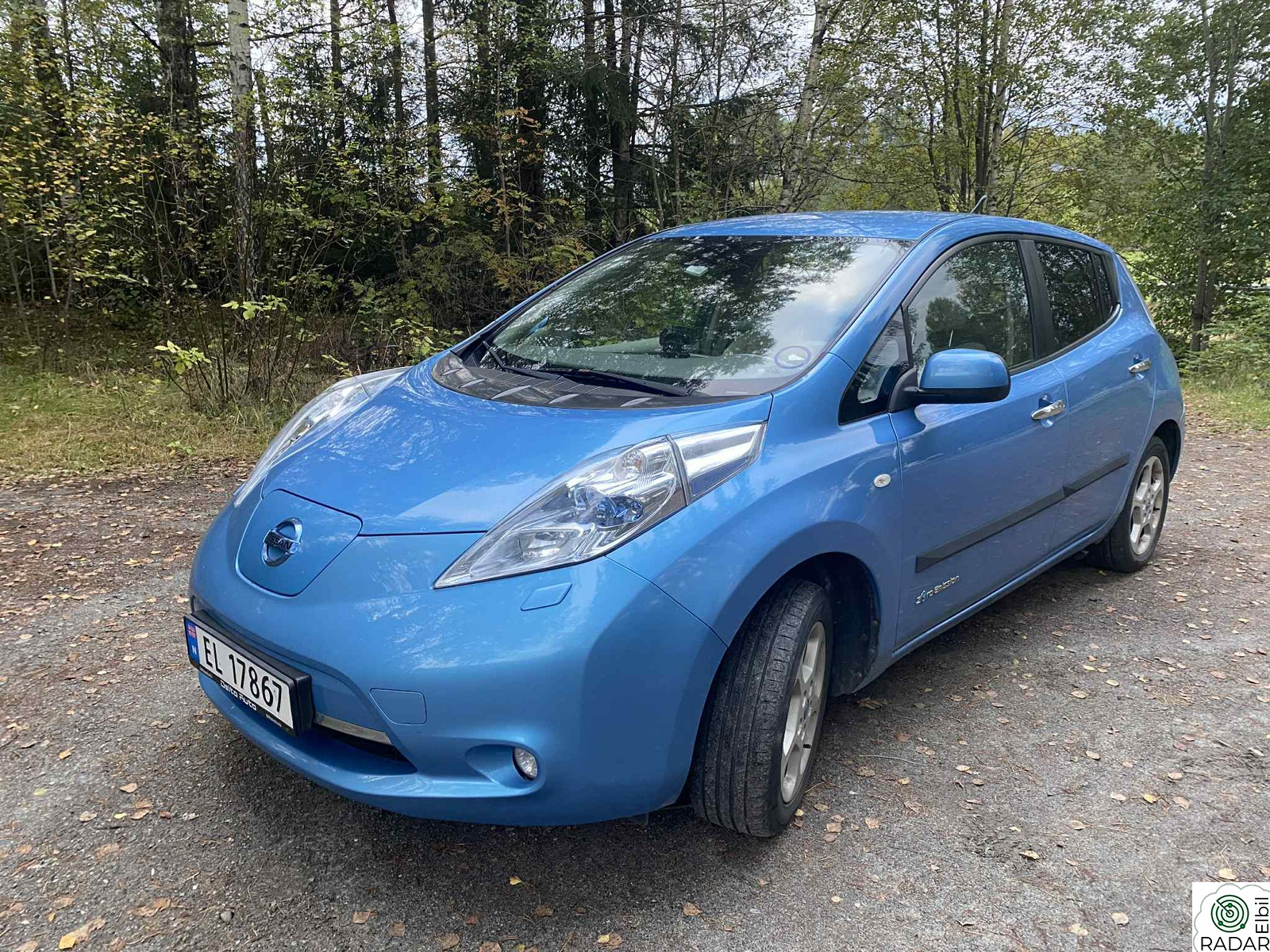 NISSAN LEAF