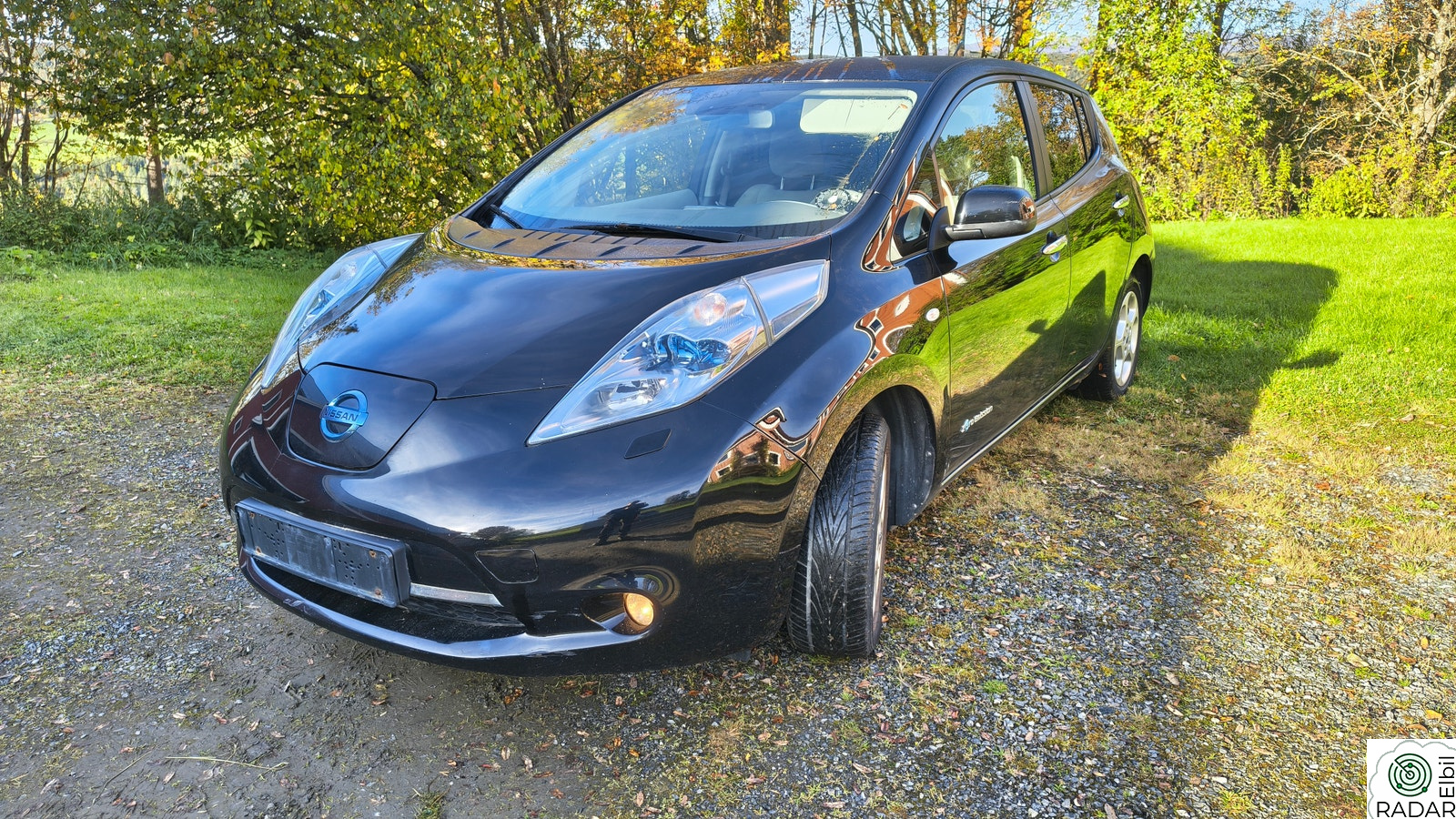 NISSAN LEAF