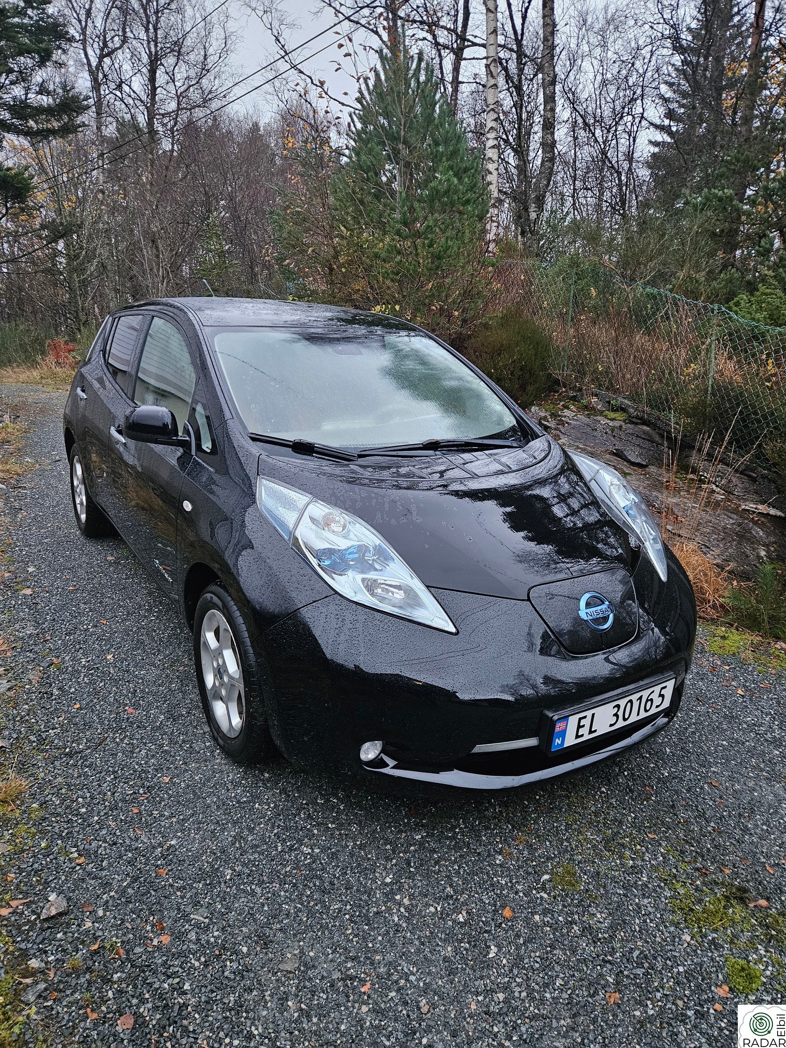 NISSAN LEAF