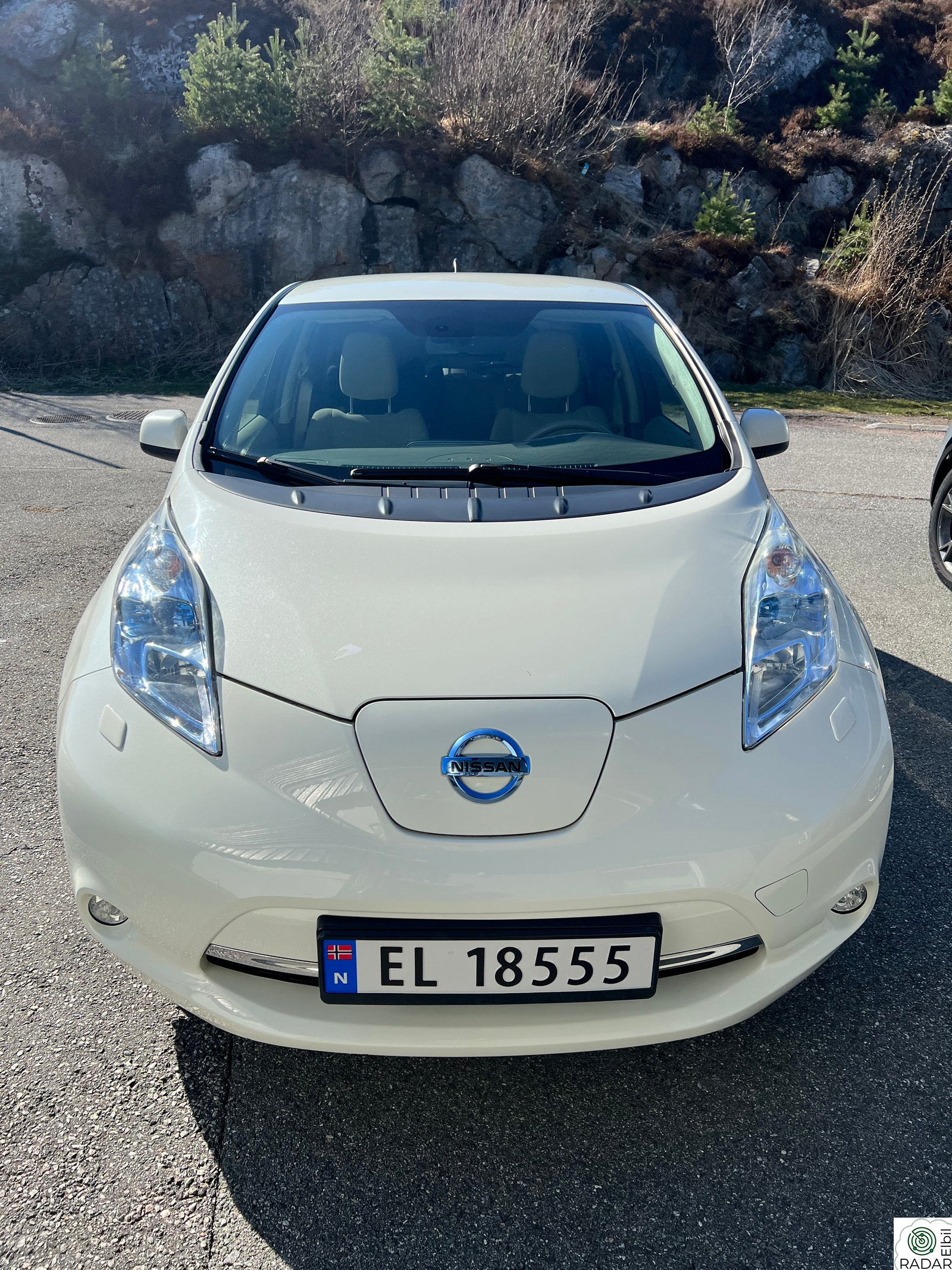 NISSAN LEAF