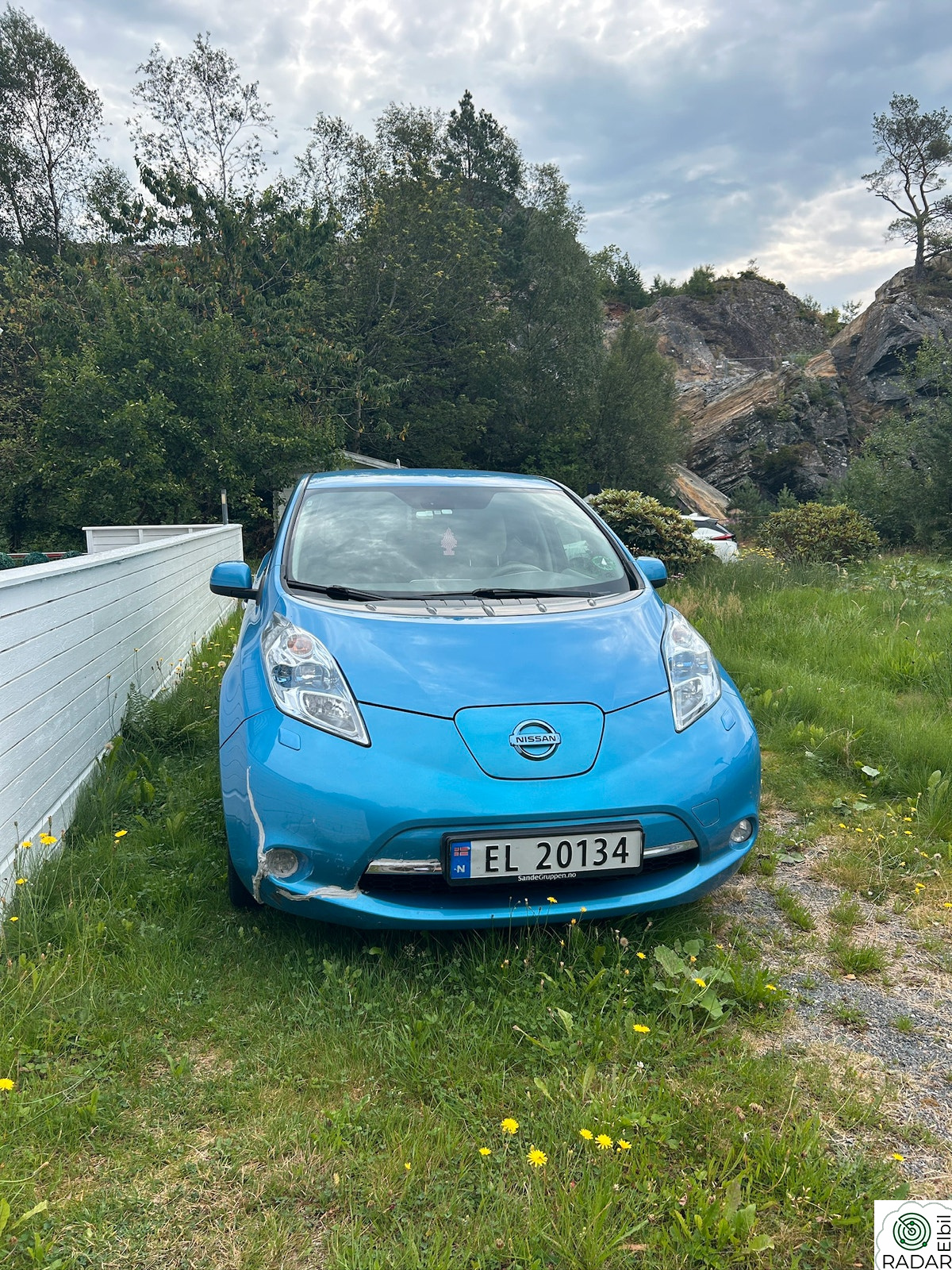 NISSAN LEAF