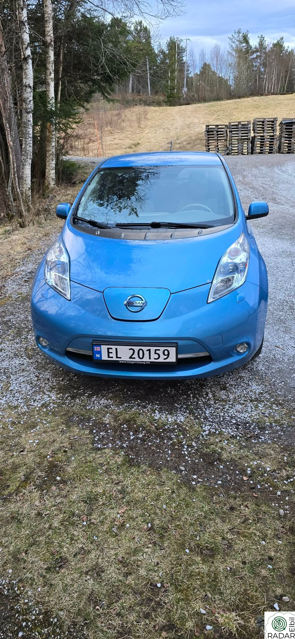 NISSAN LEAF