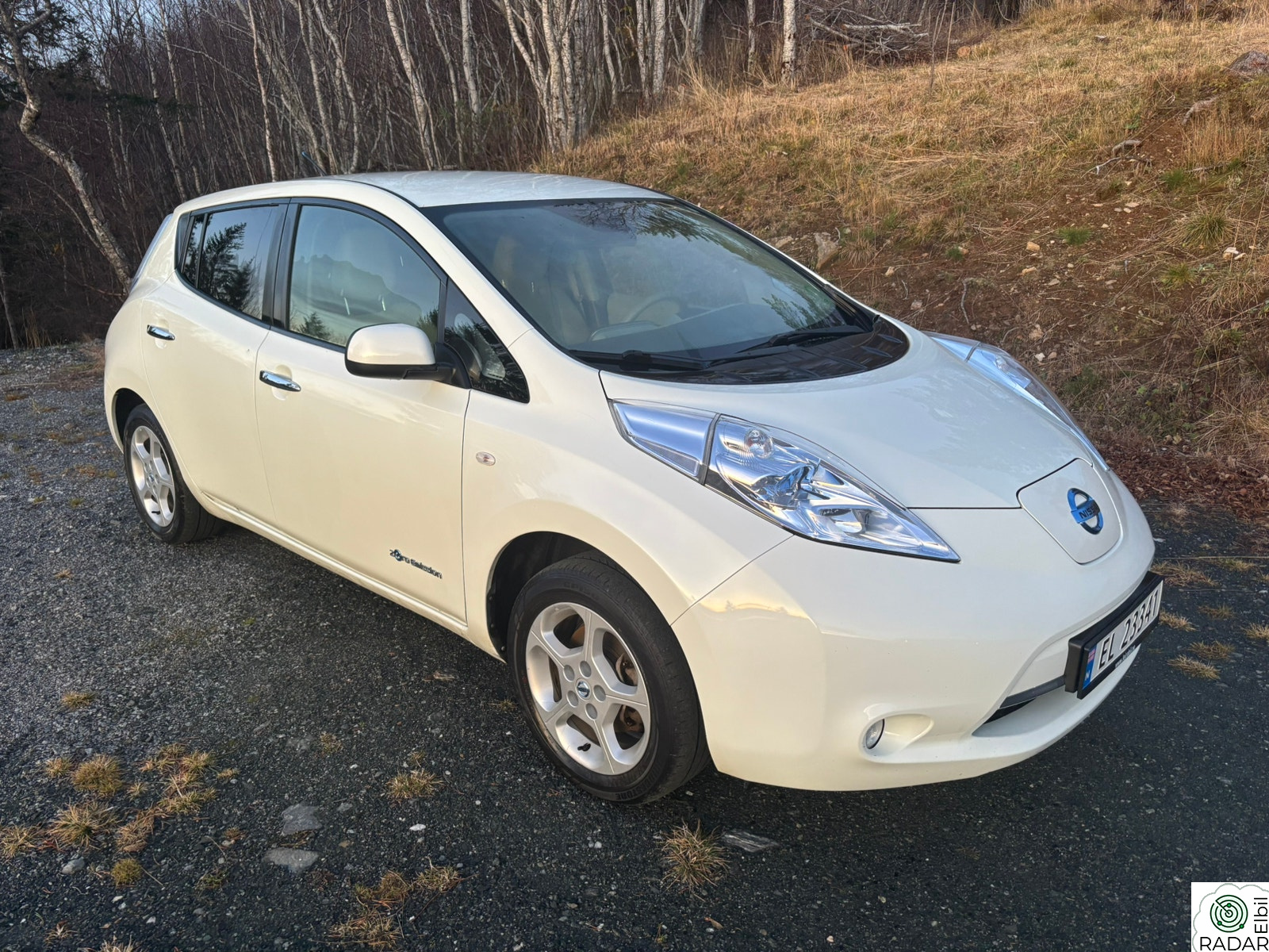 NISSAN LEAF