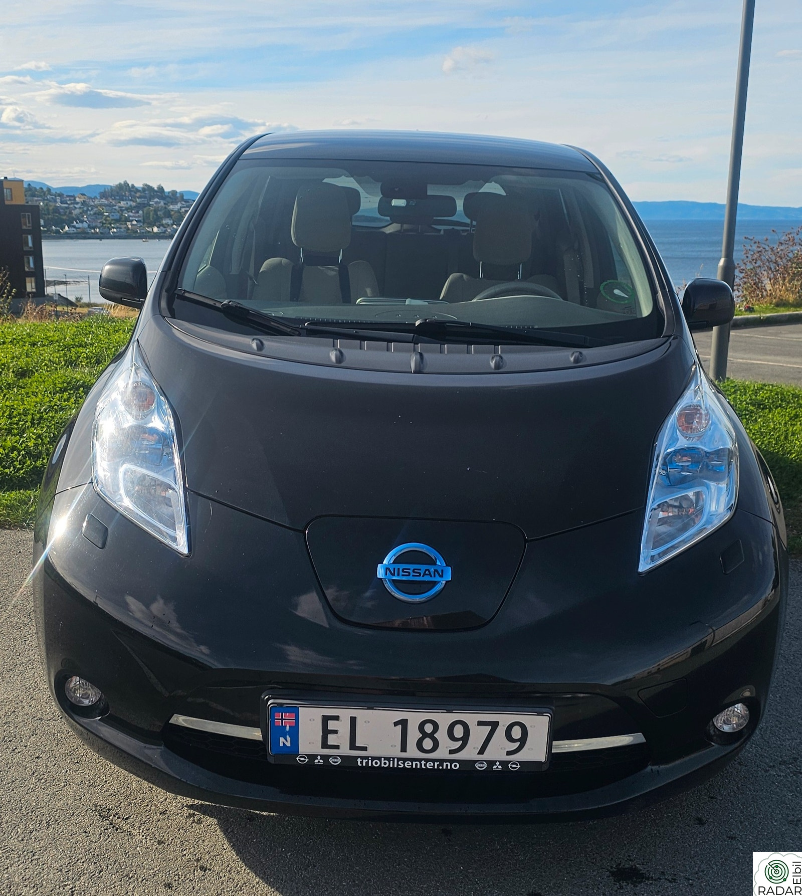 NISSAN LEAF