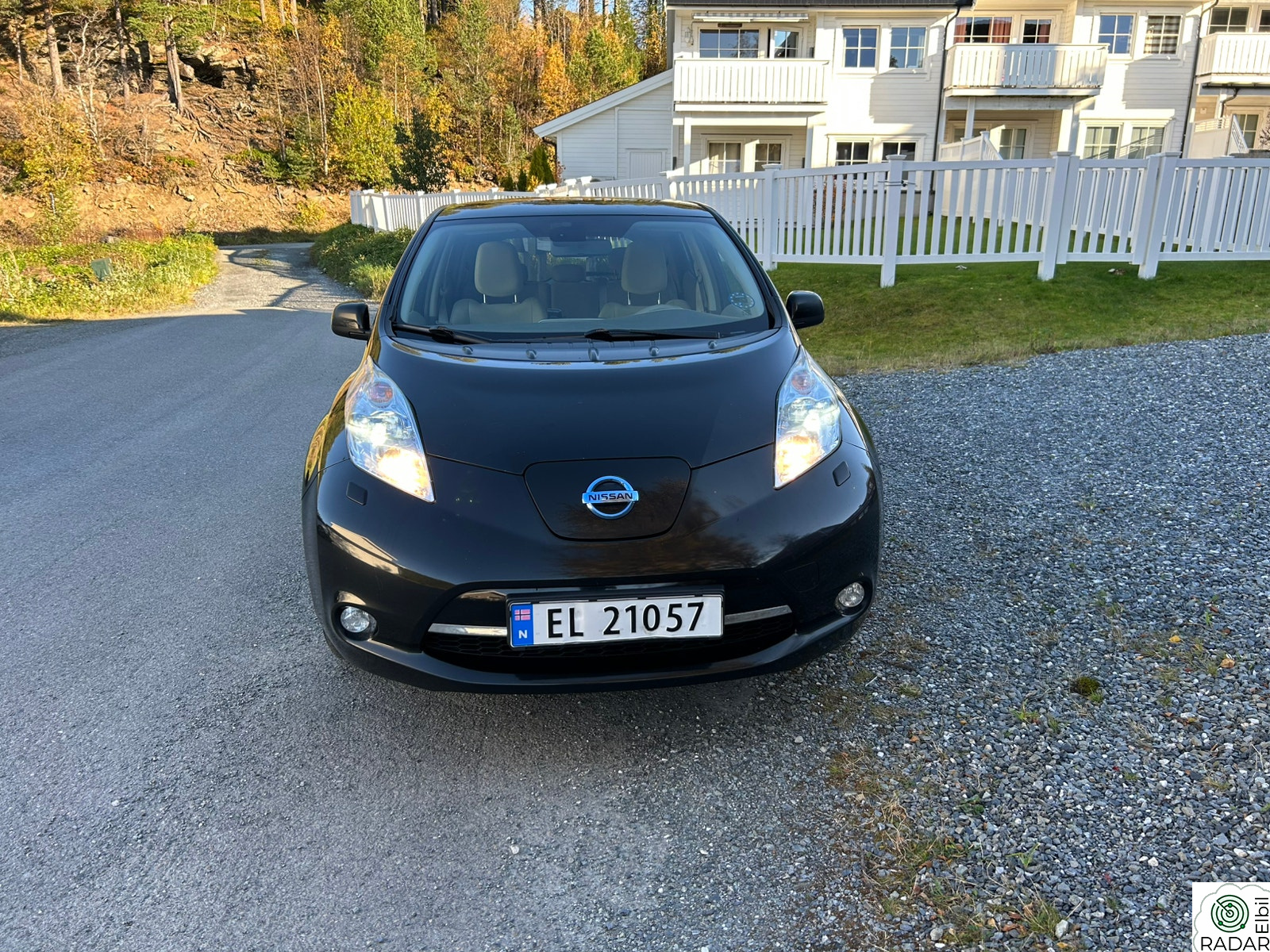 NISSAN LEAF