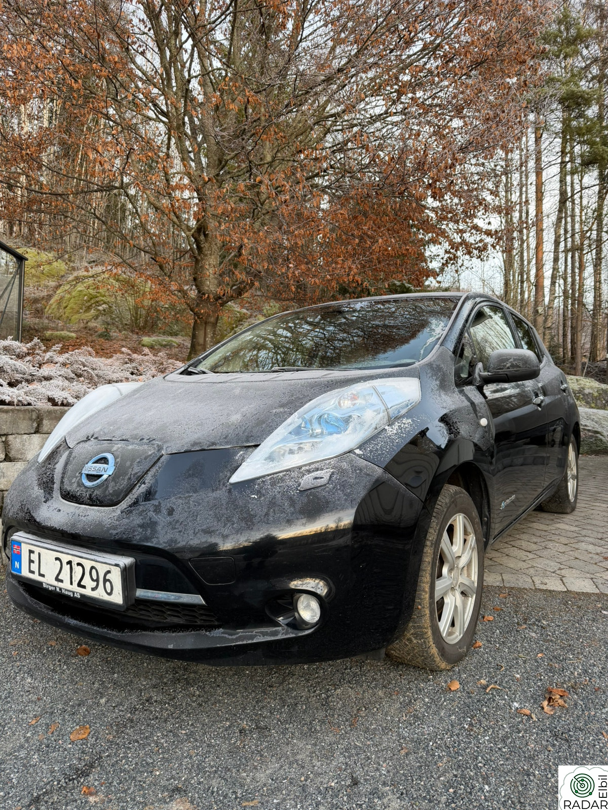 NISSAN LEAF
